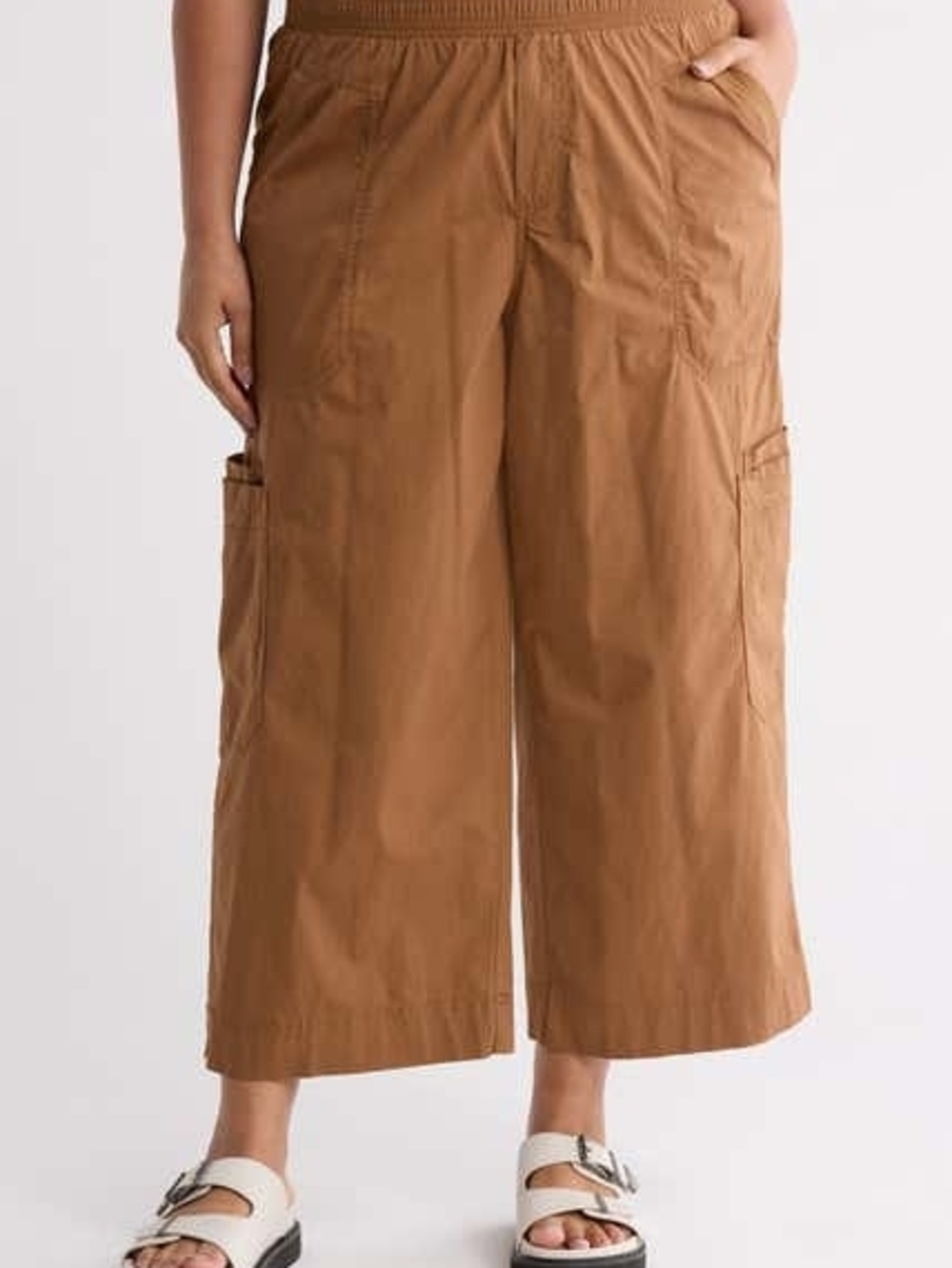 Democracy Cargo Pants Brown Brown Size 2X